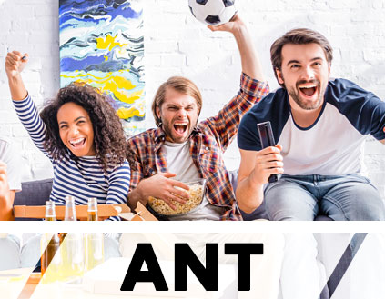ANT: Indoor / Outdoor Antennas