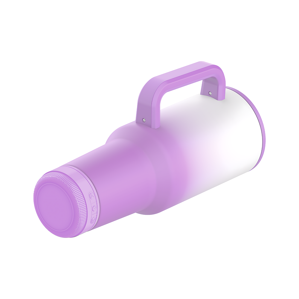 BT 47 SIDE PURPLE BT 47 SIDE PURPLE